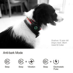 DB400 Remote Dog Training Collar