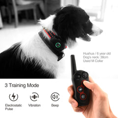 DB400 Remote Dog Training Collar