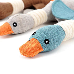 Animal Duck Toy