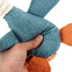 Animal Duck Toy