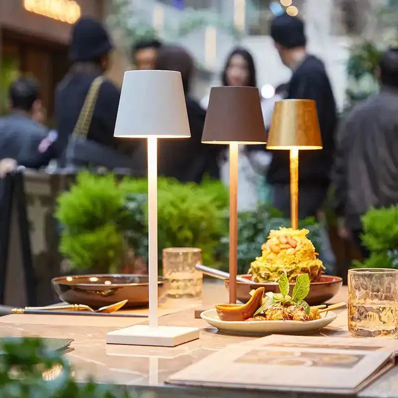 Modern Cordless Lamp