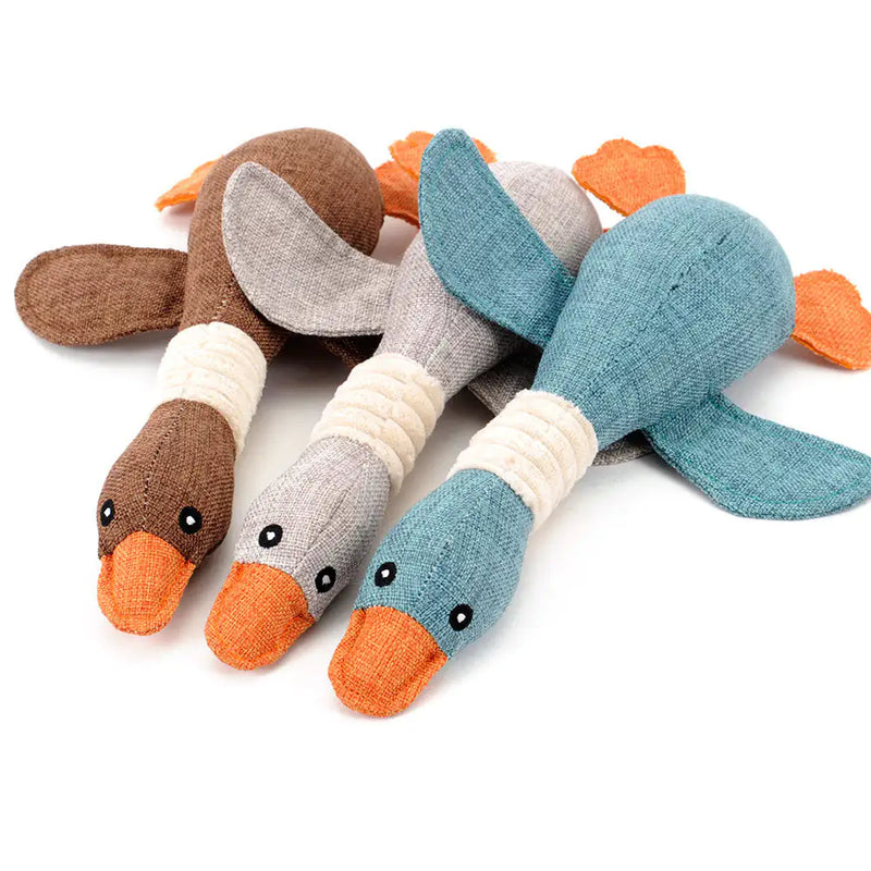 Animal Duck Toy