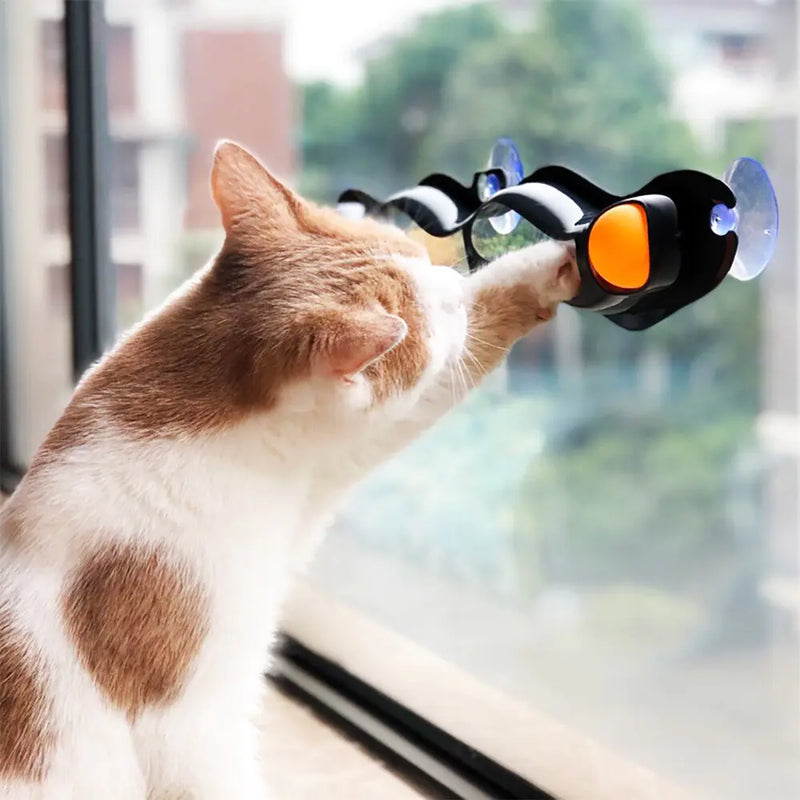 Cat Ball Track Toy