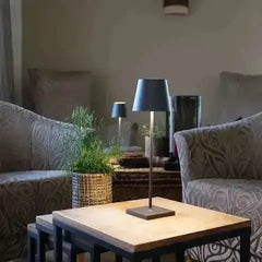 Modern Cordless Lamp