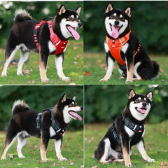 Dog Harness - Less Tension